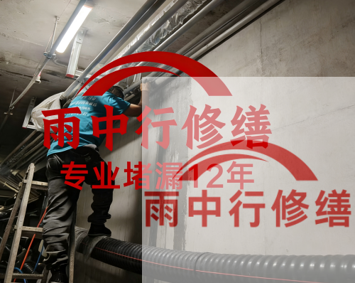 荆门电缆线空洞堵漏加固案例